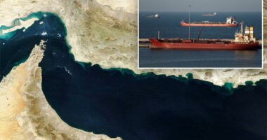Iran to charge ships passing Strait of Hormuz â raising risks of global recession
